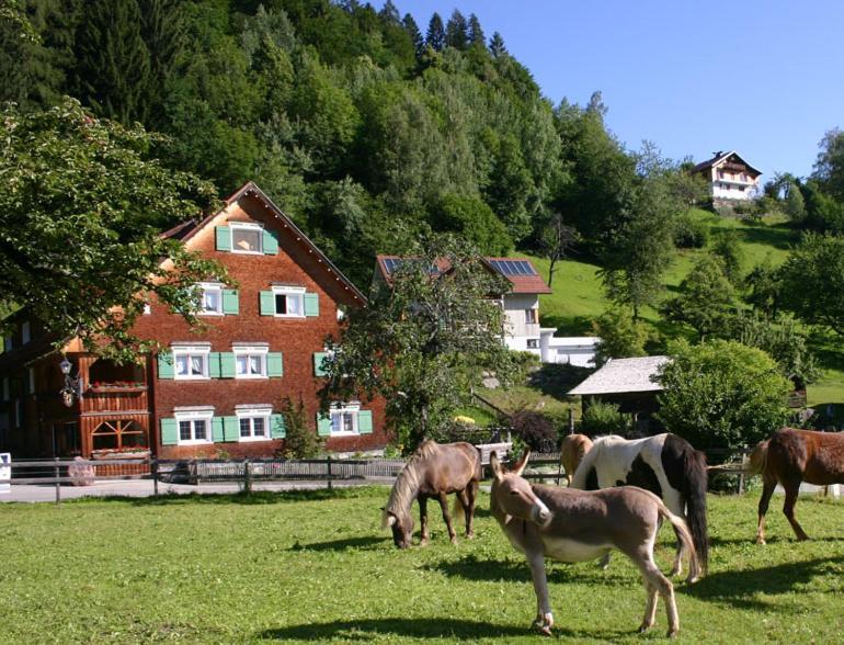 Hotel Gasthaus Schaefle Bürserberg Εξωτερικό φωτογραφία